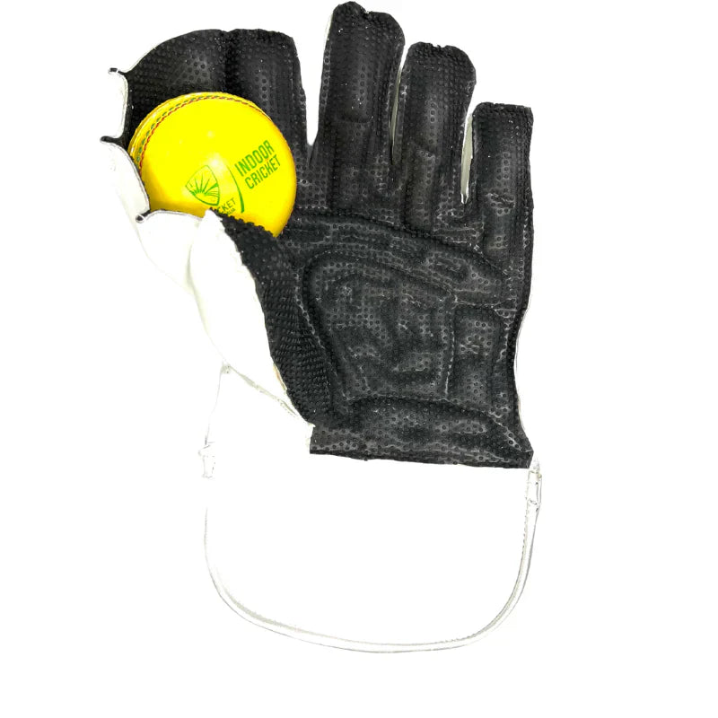 Wicket Keeping