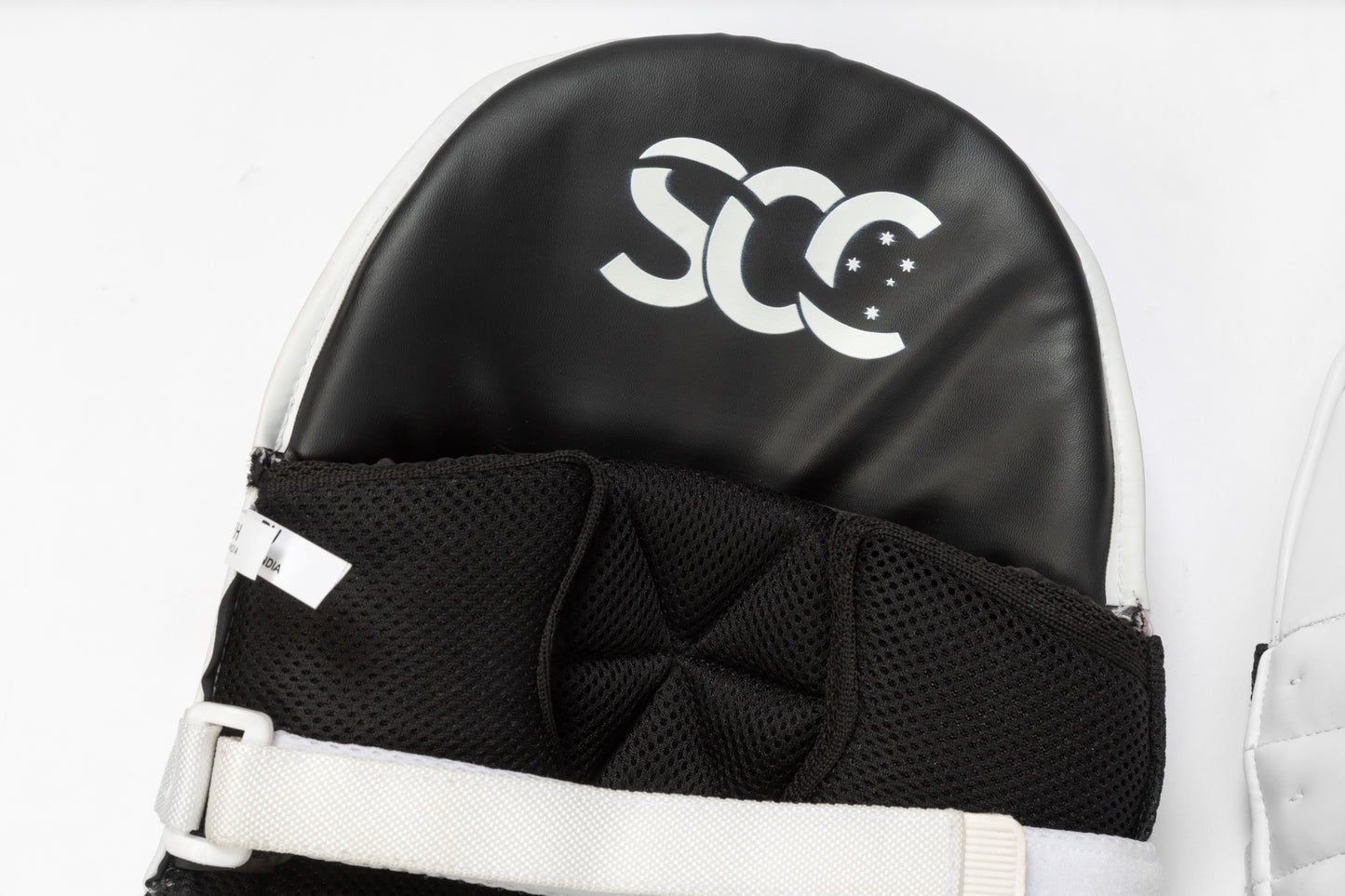 Assassin Pro Batting Pads