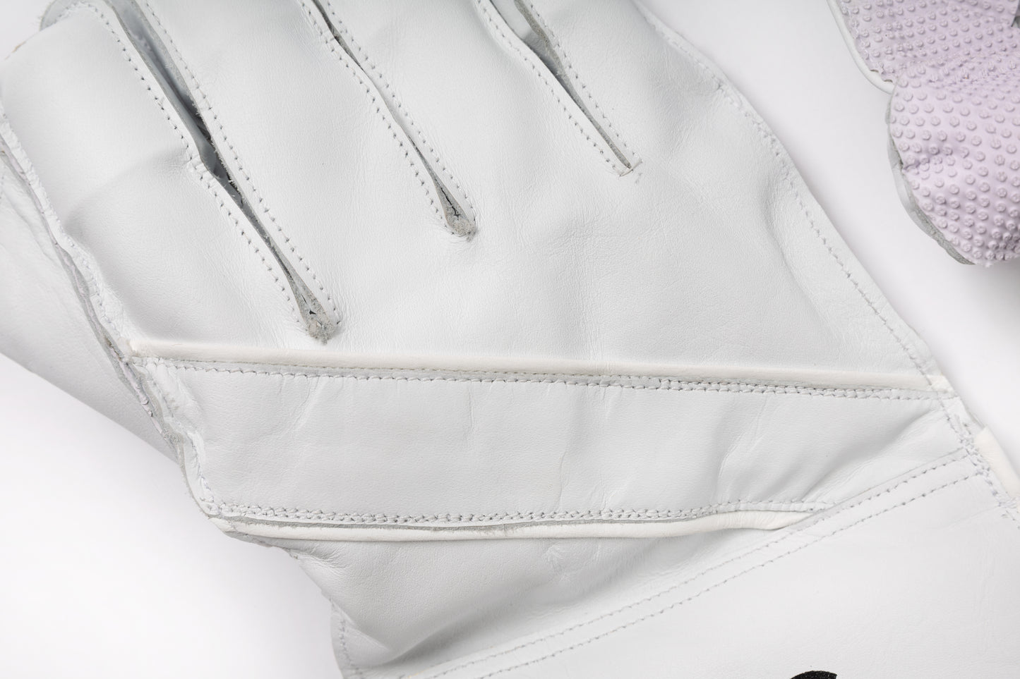 Assassin Pro Wicket Keeping Gloves