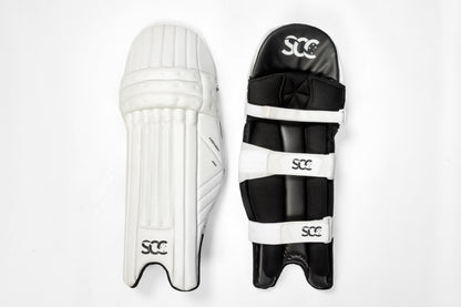 Assassin Pro Batting Pads