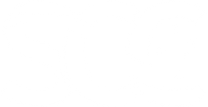 Secondary logo