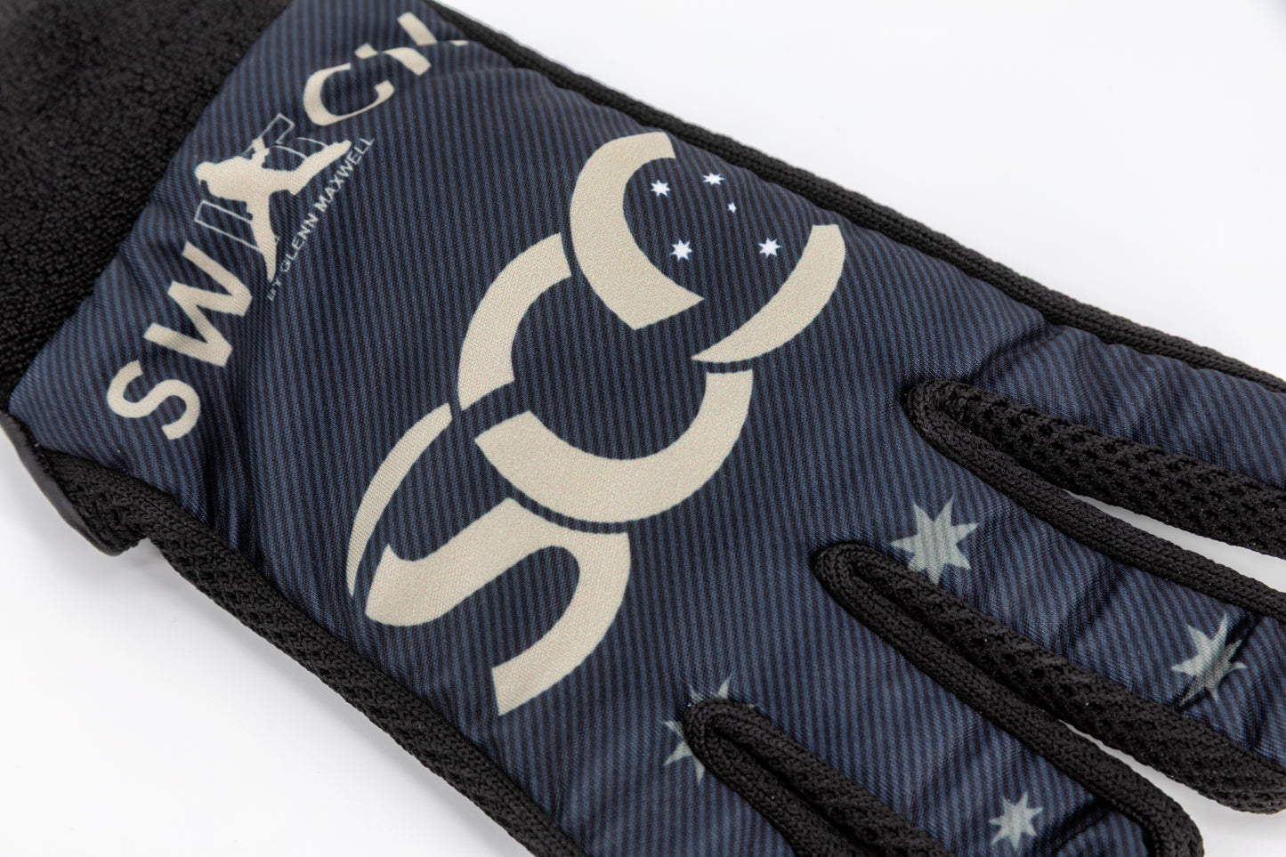 SWITCH Assassin Indoor Glove