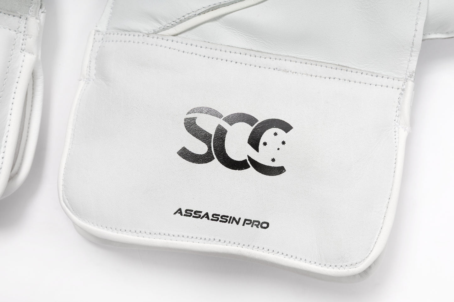 Assassin Pro Wicket Keeping Gloves