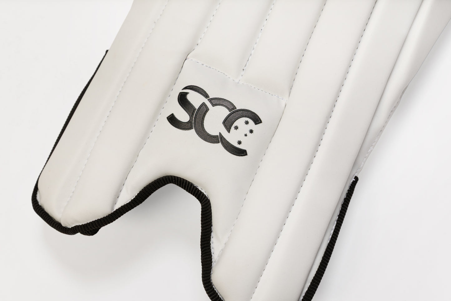 Assassin Pro Wicket Keeping Pads